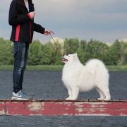 AMAZING GIFT O’MARK Virta Valo