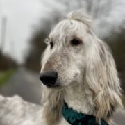 AMAZING ILLUSION Masz Ci Kwiat