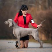 Amber Light of Your Eyes is the Only One