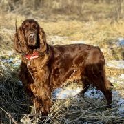 AMORE INFINITO Kucciolotti 