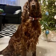 AMORE INFINITO Kucciolotti 