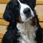 ANABEL SLEZANSKI SKARBIEC