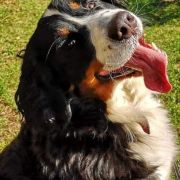 ANABEL SLEZANSKI SKARBIEC 2