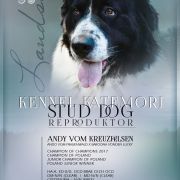 ANDY VOM KREUZFELSEN 