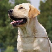 ANNABELLA MIRAFIORE FROM SALT CITY 2