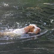 Antonio od Zelene Nadeje