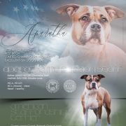 APARATKA My Passion Staff