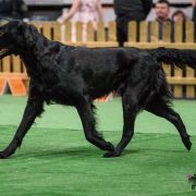 Apples'N'Pears ALWAYS BE MINE - Luna 3