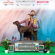 Ares z Włodzimierzowa