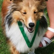 ARIKA (LUNA) - ALBADORJA FCI 3