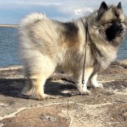 Arika z Chaty Horpyny 2