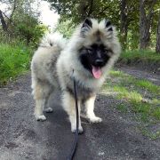 Arika z Chaty Horpyny 3