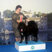 ASLAN'S SHADOW CEDRA 3