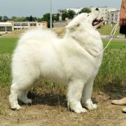  ATISSA SESTO SENSO 3