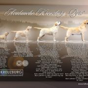 AVALANCHE Kreuzburg 2