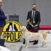 AVALANCHE Kreuzburg 3