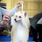 Greece Artagasamazis