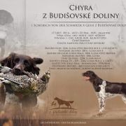 Chyra z Budisovske doliny