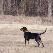 JUTRZENKA FEEK Odszukać Wiatr