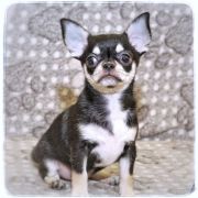 All At Once Emerald In Gold