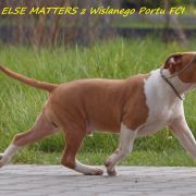 Nothing Else Matters z Wiślanego Portu