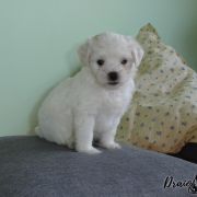 Draiochta BAINNE