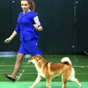 EKATO KADZUKEMONO DEN