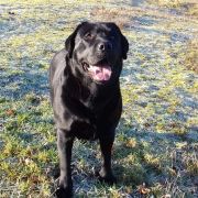 She is Like The Wind DESIRE MOON