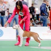 Royal Highness Via Fortuna