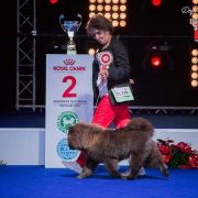 MONALYN MAGIC STAR DALIDA FOR MONASIM