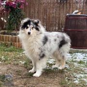 MONSOLANA Ranibow Sky