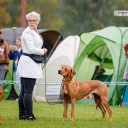 Planet Melmac MAD ABOUT YOU