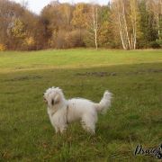 Draiochta AITEALL