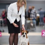 URANIA Pokerowy Żywot 