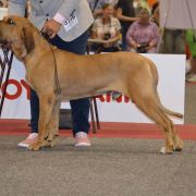 Clinio di Colle Manzu