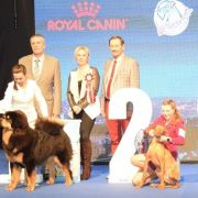 PORTER Cobegarden (FCI)