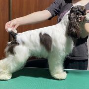 Queenzie AIN’T SHE SWEET