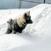 ADARA S LUNEZHSKIKH GOR