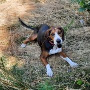 UNCJA Huculska Dolina