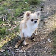 Matylda Mała Nadzieja