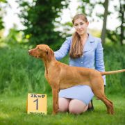 Kayla - Asta z Doliny Brzeznicy