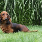 HUNTAKS Emotion Beauty 