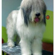 GENEVIEVE de Pont Euxn