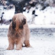 Bahati Z Pierwszej Ligi 2