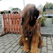 Bahati Z Pierwszej Ligi 3