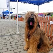 Bahati Z Pierwszej Ligi 4