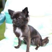 BAJKA PERłA NIEPORĘTU 2