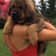 Balbina Sand of Tybet 2