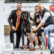 BALTAZZAR Margarejro FCI