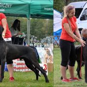 BALTAZZAR Margarejro FCI